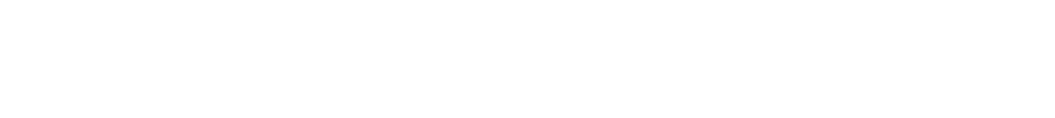 Denis Josifoski Logo
